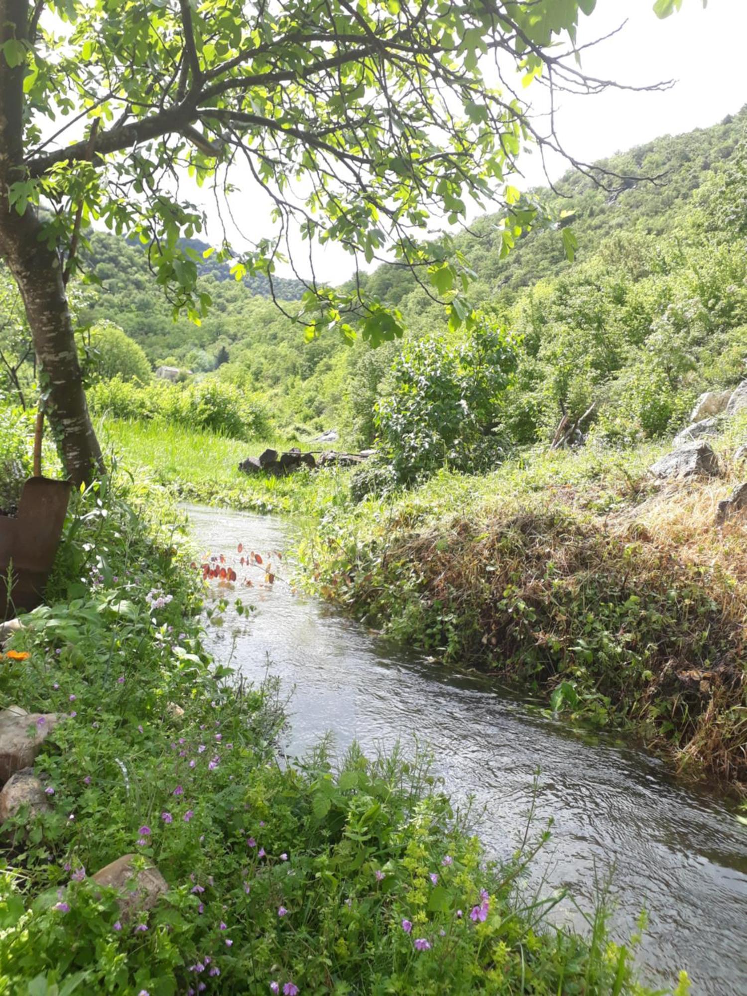 Camp Sunny Hills Hotel Virpazar Buitenkant foto
