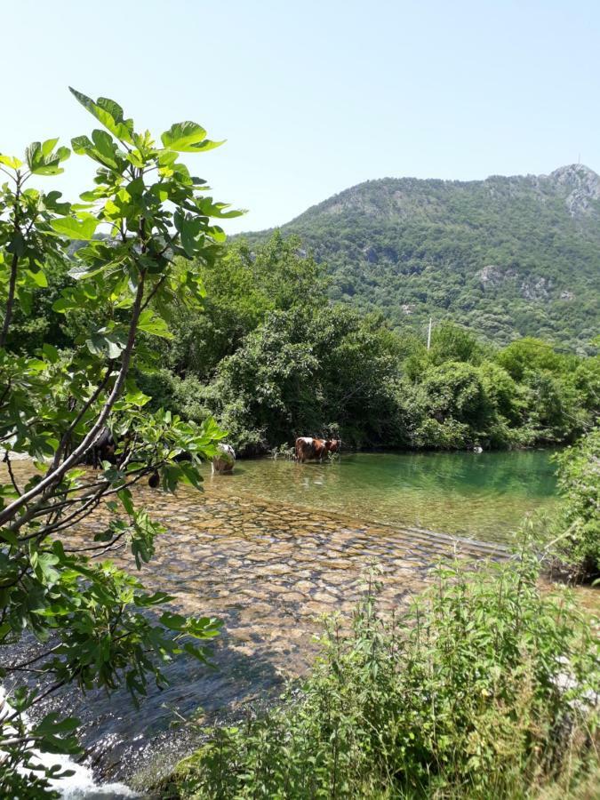 Camp Sunny Hills Hotel Virpazar Buitenkant foto