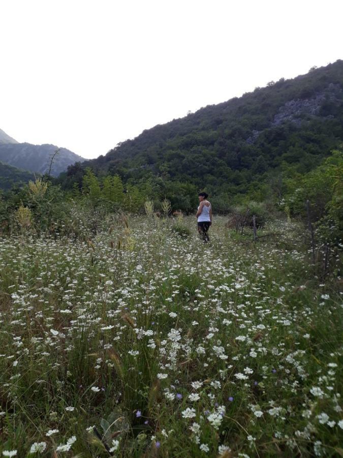 Camp Sunny Hills Hotel Virpazar Buitenkant foto
